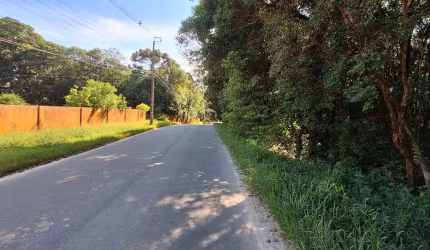 Chácara a 100 metros da estrada da Ribeira/ Colombo