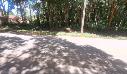 Vendo chácara  de frente para o asfalto 200 metros da estrada da Ribeira