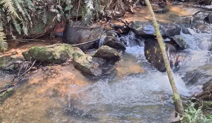 Chácara 1 km e meio da estrada da Ribeira/ Bocaiuva