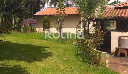 Chacara à venda, 4 quartos, Chacaras Oliveiras - Uberlândia/MG - Rotina Imobiliária