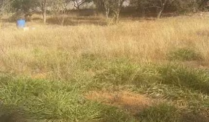 Terreno à venda, Morada Nova - Uberlândia/MG - Rotina Imobiliária
