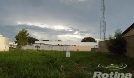 Terreno à venda, Segismundo Pereira - Uberlândia/MG - Rotina Imobiliária