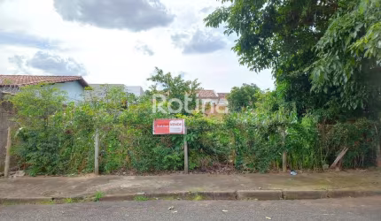 Terreno à venda, Segismundo Pereira - Uberlândia/MG - Rotina Imobiliária