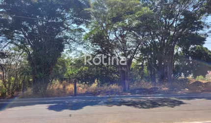 Área à venda, Chacaras Tubalina e Quartel - Uberlândia/MG - Rotina Imobiliária