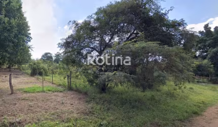 Terreno à venda, Morada Nova - Uberlândia/MG - Rotina Imobiliária