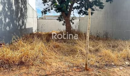 Terreno à venda, Aclimação - Uberlândia/MG - Rotina Imobiliária