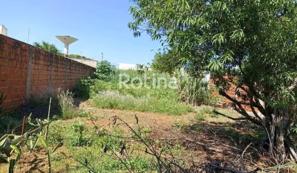 Terreno à venda, Custódio Pereira - Uberlândia/MG - Rotina Imobiliária