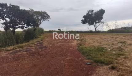 Área à venda, Zona Rural - Uberlândia/MG - Rotina Imobiliária