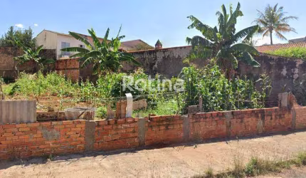 Terreno à venda, Jardim Patrícia - Uberlândia/MG - Rotina Imobiliária