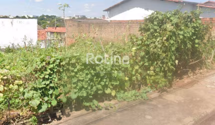 Terreno à venda, Jardim Patrícia - Uberlândia/MG - Rotina Imobiliária