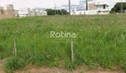 Terreno à venda, Vigilato Pereira - Uberlândia/MG - Rotina Imobiliária