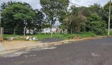 Terreno à venda, Cidade Jardim - Uberlândia/MG - Rotina Imobiliária