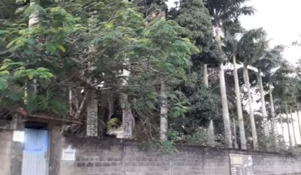 Sítio para Venda em Saquarema, Bacaxá (Bacaxá)