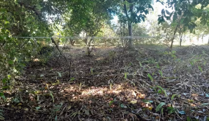 Lote  tipo sitio dentro de condomínio estrada do coco