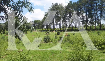 Área a Venda ideal para empreendimentos 48.000 m2 - Distrito Industrial - Jardim Pellizzari