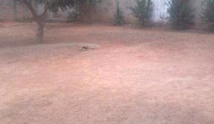 Chácara para Venda em Limeira, Bairro dos Pires, 3 dormitórios, 1 banheiro, 10 vagas