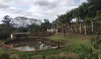 Sítio para Venda em Santa Amélia, Santa Amélia, 3 dormitórios, 2 banheiros, 8 vagas