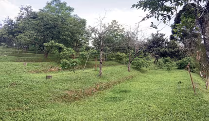 Chácara / sítio à venda na RUA DOS TOPÁZIOS, 100, Jardim Boa Vista, Campo Magro, 39995 m2 por R$ 2.000.000