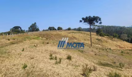 Linda Fazenda com 100 alqueires  Campo Magro produtiva e ecológica  boa parte da fazenda formada com área de plantio destocada, pasto formado.