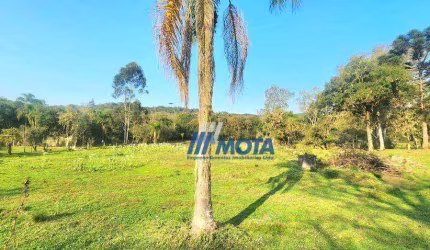 Área para Para chácara a Venda,  Belle Vie Bocaiuva do Sul  com 10.600m com pastagem cercada, divisa com Rio Capivari    Lote nº 42