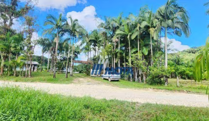 Sitio a venda Antonina com 47 hectares com casa sede, casa caseiro, tanques e plantação de palmitos