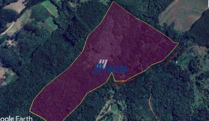 Ótima área para Chácara a venda Campo Largo Próximo do Próximo do Shopping ( City Center Outlet Premium) com 18,6 hectares
