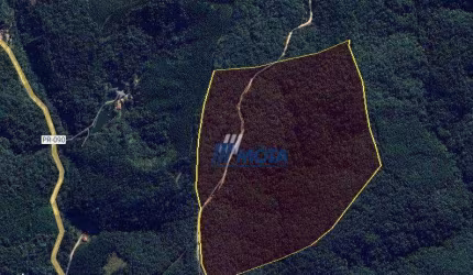Área à venda, 285700 m² por R$ 485.000,00 - Campo Largo - Campo Largo/PR
