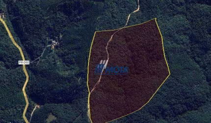 Ótima área a venda Campo Largo Com 11,8 alqueires ideal para quem busca área para compensação ambiental, chácara de lazer e investimentos,