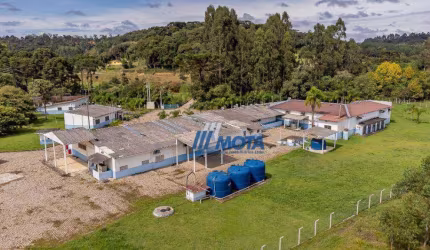 Pavilhão à venda, 2528 m² por R$ 8.500.000,00 - Mandassaia - Campina Grande do Sul/PR