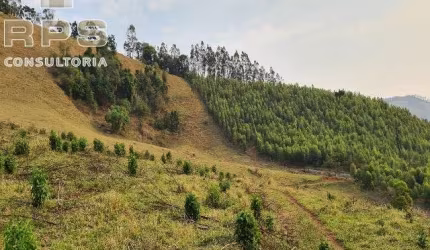 Sitio com vista Panorâmica em meio da Serra da Mantiqueira