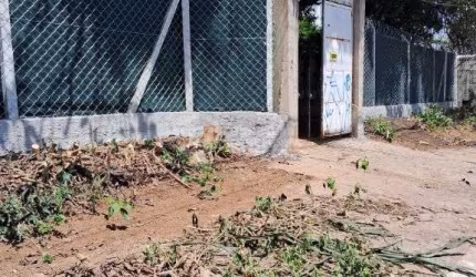 Chácara para venda em São Paulo - Chácara Santa Etelvina