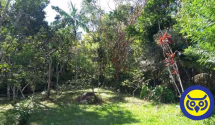 Lindo sítio com 20.000m2 na Vargem Grande