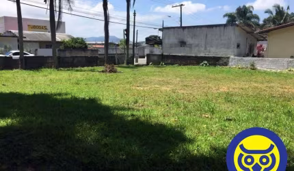 Terreno - Ponta de Baixo - venda - com 29.000 m2
