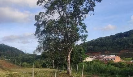 Terreno à venda, 360 m² por R$ 95.400 - Rocio Grande - São Francisco do Sul/SC