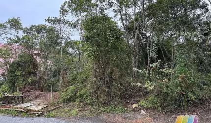 Terreno no Paulas