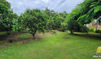 Chacará São Francisco do Sul.