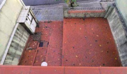 Sobrado com 2 dormitórios à venda, 120 m² por R$ 620.000,00 - Jardim Maria Estela - São Paulo/SP