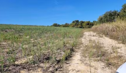 Sítio à venda, 20000 m² por R$ 360.000,00 - Area Rural - Cosmópolis/SP
