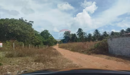 Terreno 3.000 m² Pium-NF: Oportunidade Imperdível!