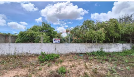 vendo terreno com localização Ideal em Pium: 2000m², Oportunidade Única' 15 minutos da praia cotovelo.