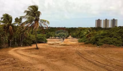 Área ou Gleba em Pium 3,2 Hectares Próximo a RN-313 e Praia do Cotovelo