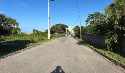 Oportunidade de Investimento Vizinho ao Maior Cajueiro do Mundo