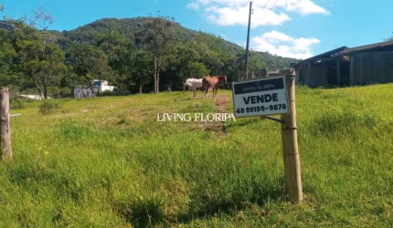 Terreno à venda na Servidão Amantino Cameu, 400, Rio Tavares, Florianópolis por R$ 1.300.000