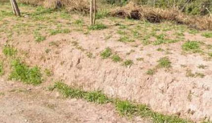 Terreno à venda, 126 m² por R$ 75.000,00 - Jardim Piatã A - Mogi das Cruzes/SP