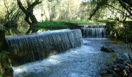 Chácara em Colombo, Área de 11 alqueires.  Documentada