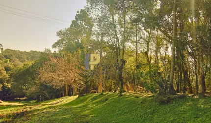 Chácara / sítio com 3 quartos à venda na Zona Rural, São José dos Pinhais , 2008 m2 por R$ 450.000