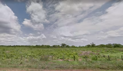 FAZENDA EM COTEGIPE IDEAL PARA RESERVA LEGAL