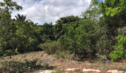 Terreno à venda no Abrantes, Camaçari  por R$ 650.000