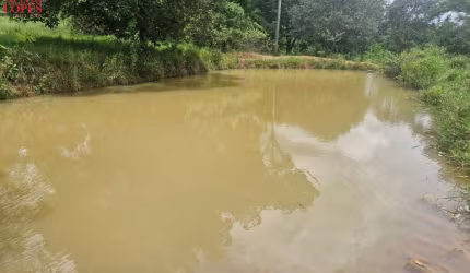 Chácara para Venda em Brasília, NÚCLEO RURAL NOVA BETÂNIA - JARDIM BOTÂNICO, 2 dormitórios, 1 suíte, 2 banheiros, 3 vagas