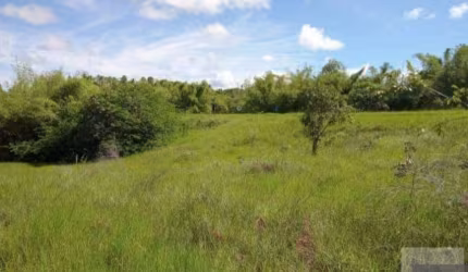 Lote/Terreno para venda com 14000 metros quadrados em Centro - Mata de São João - BA